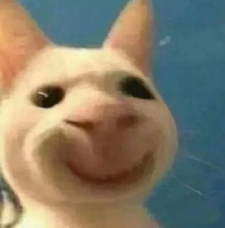 聊天斗图神器！这套小动物无字表情包太好用了