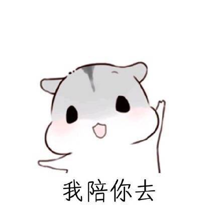 用仓鼠表情包教你怎么哄女朋友开心