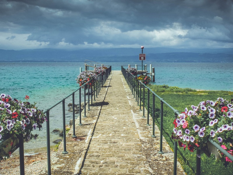 莫奈花园主题风景电脑壁纸上新啦