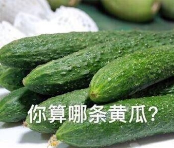 怼人神器！这套“你算个啥”表情包太绝了