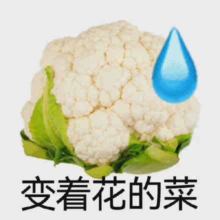 聊天斗图不用愁！这套沙雕表情包直接拿去用