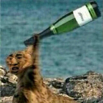 聊天斗图必备！这套魔性变脸猫表情包太上头了