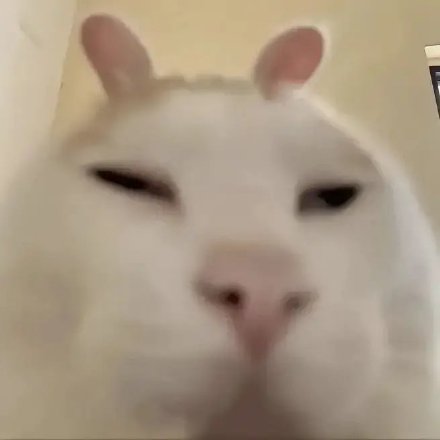 聊天斗图没文字？这款无字表情包合集超好用