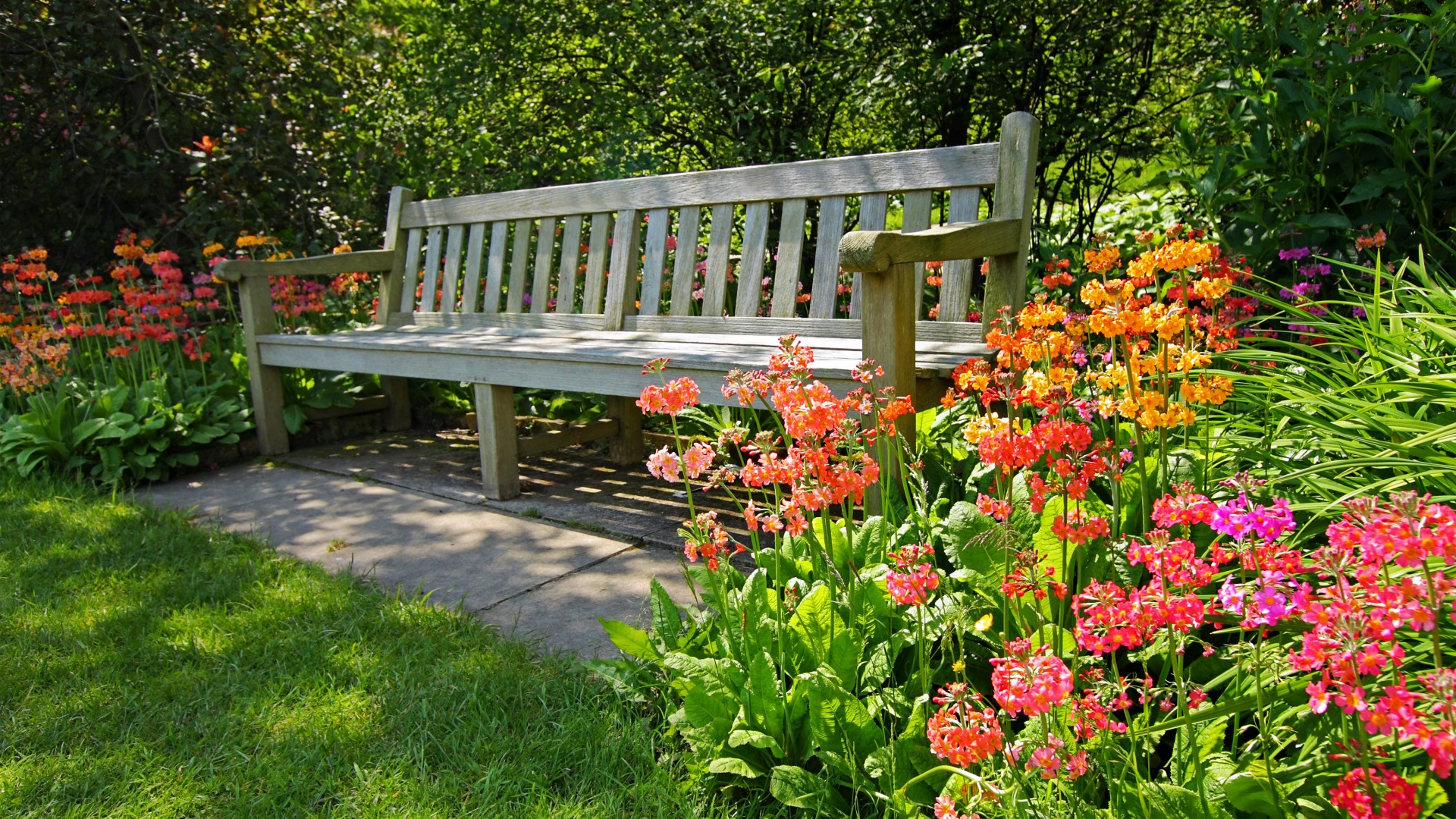 夏天护眼绿色公园风景 可直接当电脑桌面的壁纸