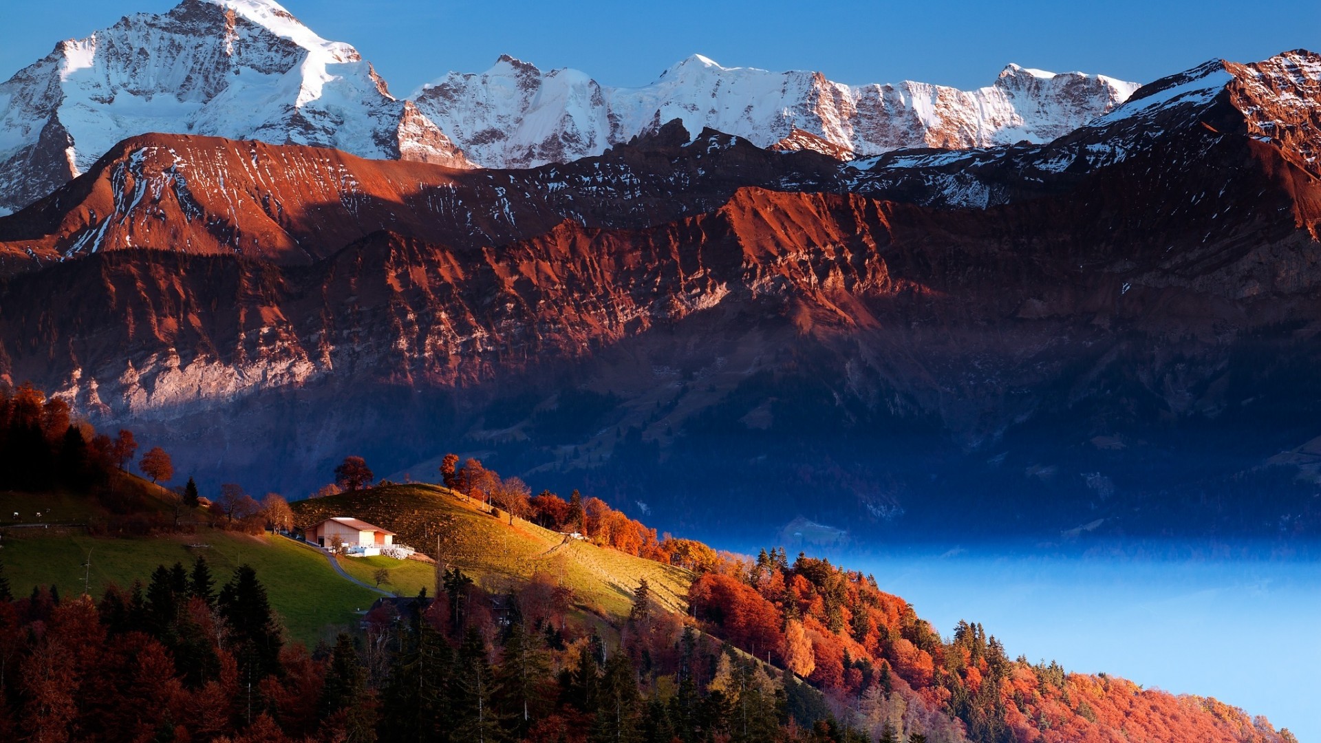 高山峡谷树木自然风景电脑桌面壁纸推荐