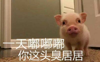 你就说，你是不是居吧？？