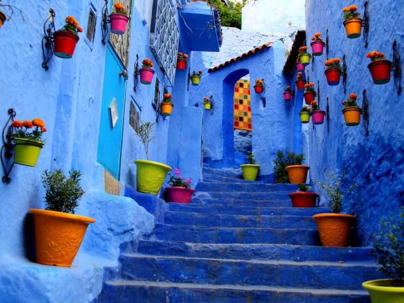 治愈感拉满！阶梯房屋蓝墙花景电脑动漫壁纸