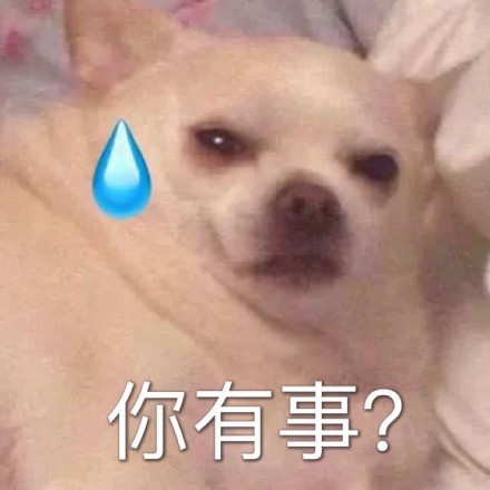 聊天斗图必备！你没事吧表情包合集来了