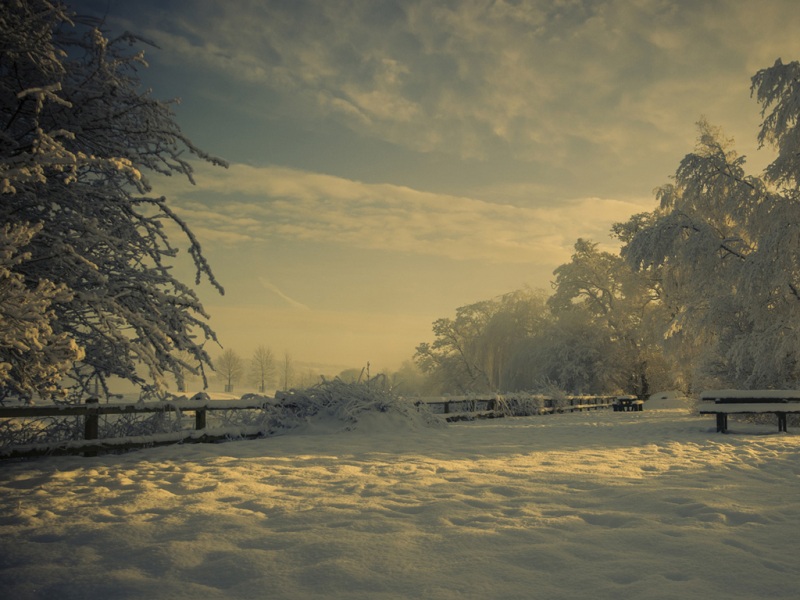 冬日公园雪景！这套动漫风电脑壁纸氛围感拉满