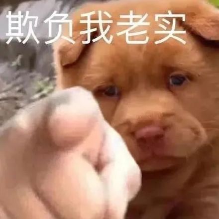 1月17日斗图表情包合集整理