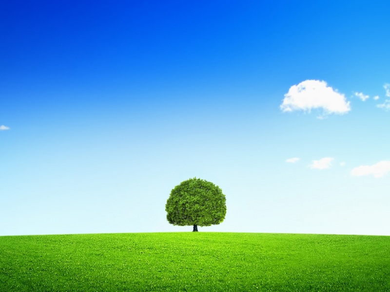 一棵树配蓝天白云的绝美风景壁纸