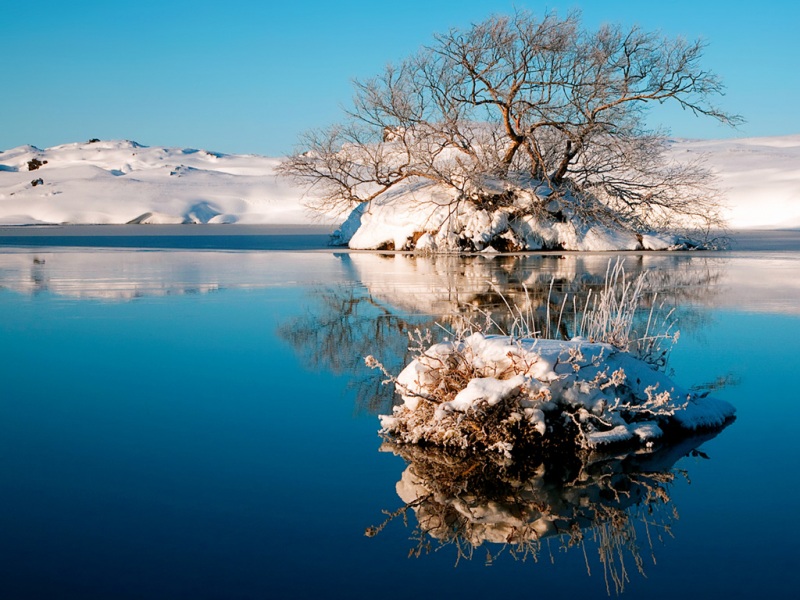 冬日湖景树影宽屏电脑壁纸