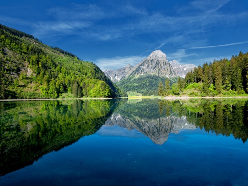 氛围感拉满！这套山水林湖动漫壁纸太适合当电脑桌面了
