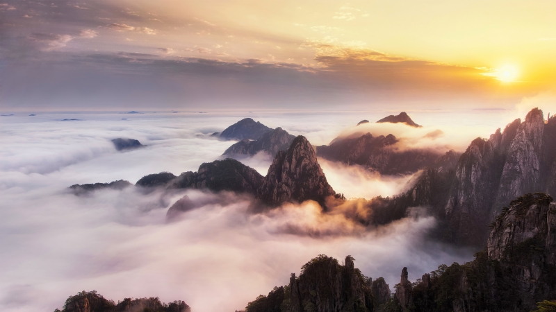 重阳节黄山云海风景电脑桌面动漫壁纸