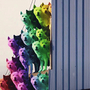 你狗哥带兄弟来探望你啦！