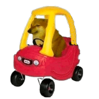 香肠狗面包狗Cheems柴犬动态表情包合集