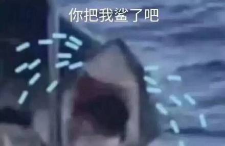 2月2日斗图表情包合集来啦