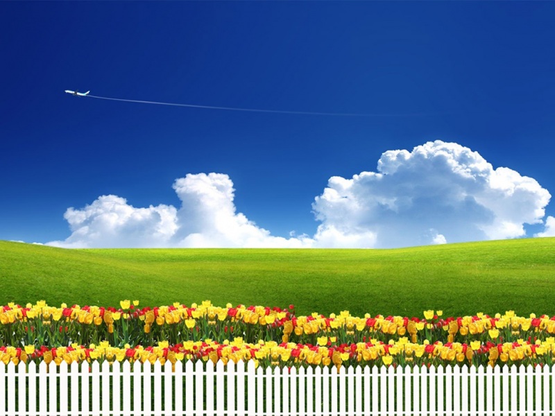 适合电脑用的蓝天白云鲜花草地动漫风壁纸合集