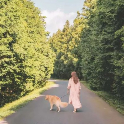 小清新情侣头像来啦！36张高清一男一女配对图直接挑