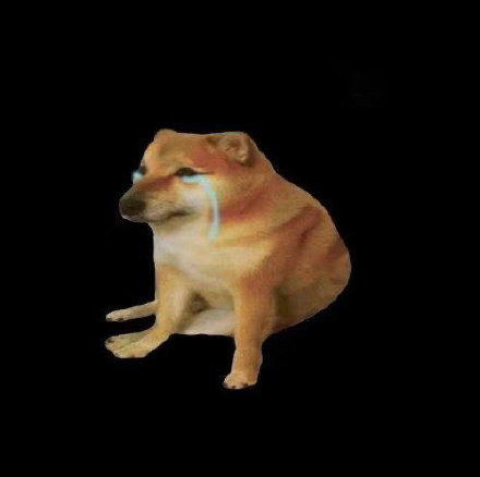 火出圈的柴犬Cheems表情包合集来啦