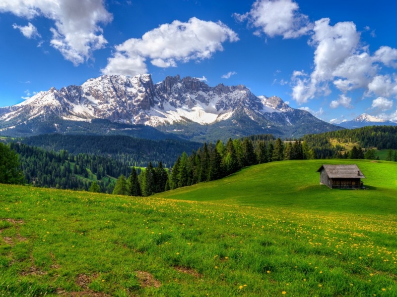 春日山林风景电脑壁纸上新