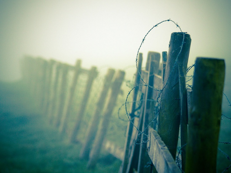 迷雾栅栏风光电脑桌面动漫壁纸