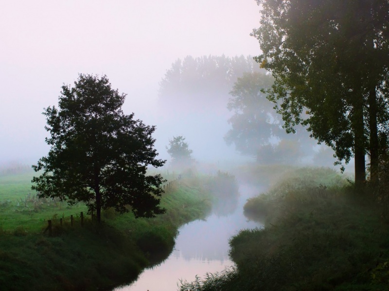 氛围感拉满！自然清晨小河雾景电脑动漫壁纸推荐
