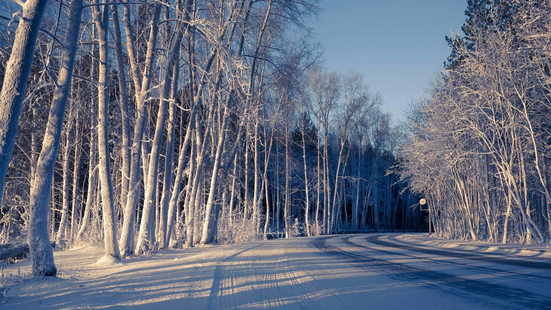 冬日雪景道路树木风景电脑壁纸