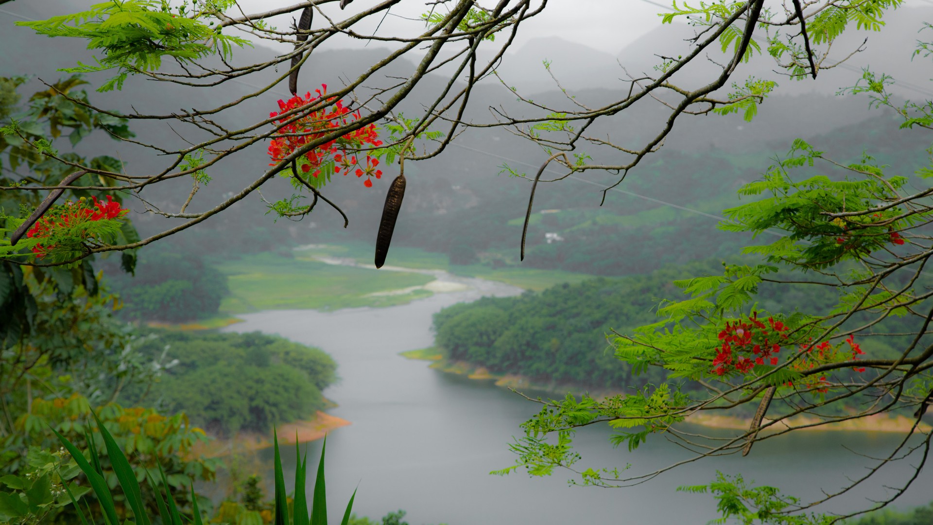 波多黎各海岛自然风景 高清电脑桌面动漫壁纸