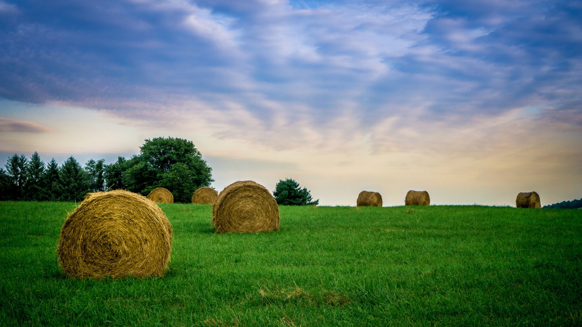 这款田野天空风景壁纸太适合当电脑桌面了