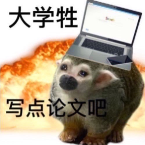 聊天斗图别愁！这套猴猴表情包帮你精准传情