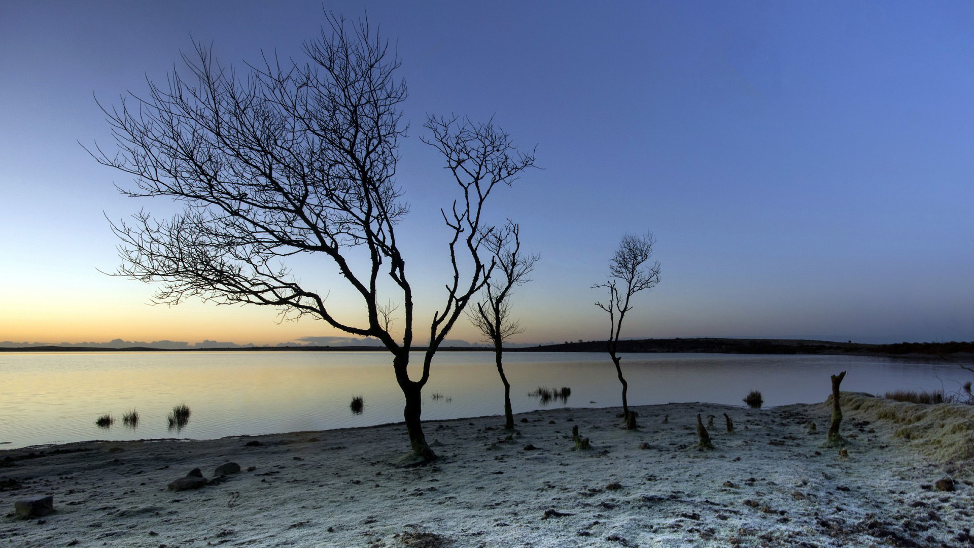 早起换壁纸！这款清晨湖景树木电脑桌面图太治愈了