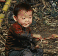 孙一宁和王思聪聊天表情包合集