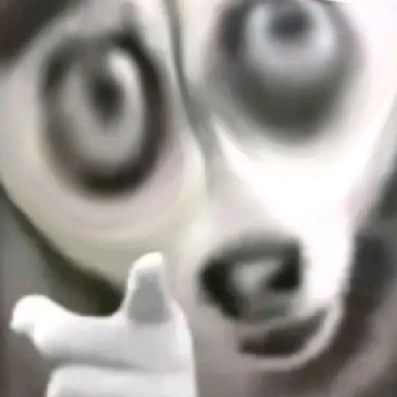 聊天斗图必备！无字表情包合集来啦