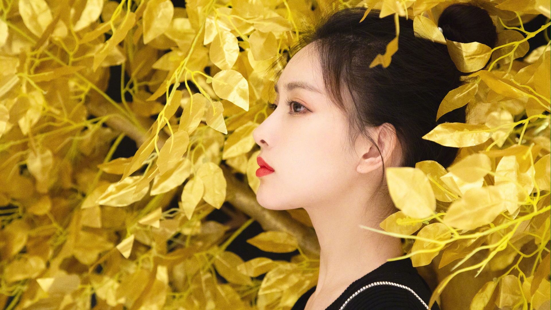 孟子义高清壁纸资源上新啦