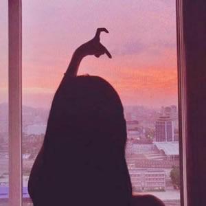 16张黄昏背影情侣头像 一左一右高清夕阳款