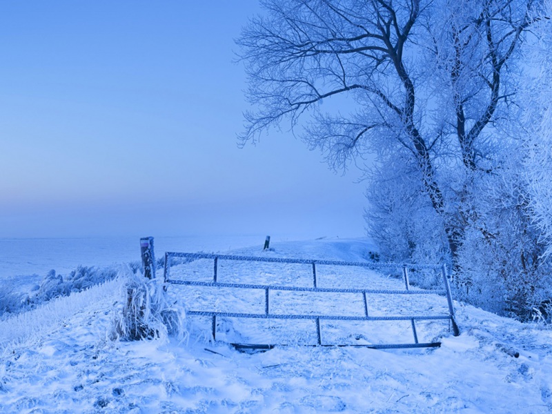 微软电脑雪全景风景桌面壁纸上新 多款高清尺寸可选