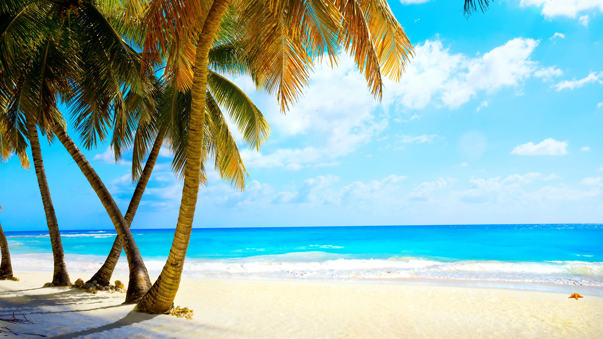 夏日海边热带风光电脑壁纸 适配多尺寸高清风景图