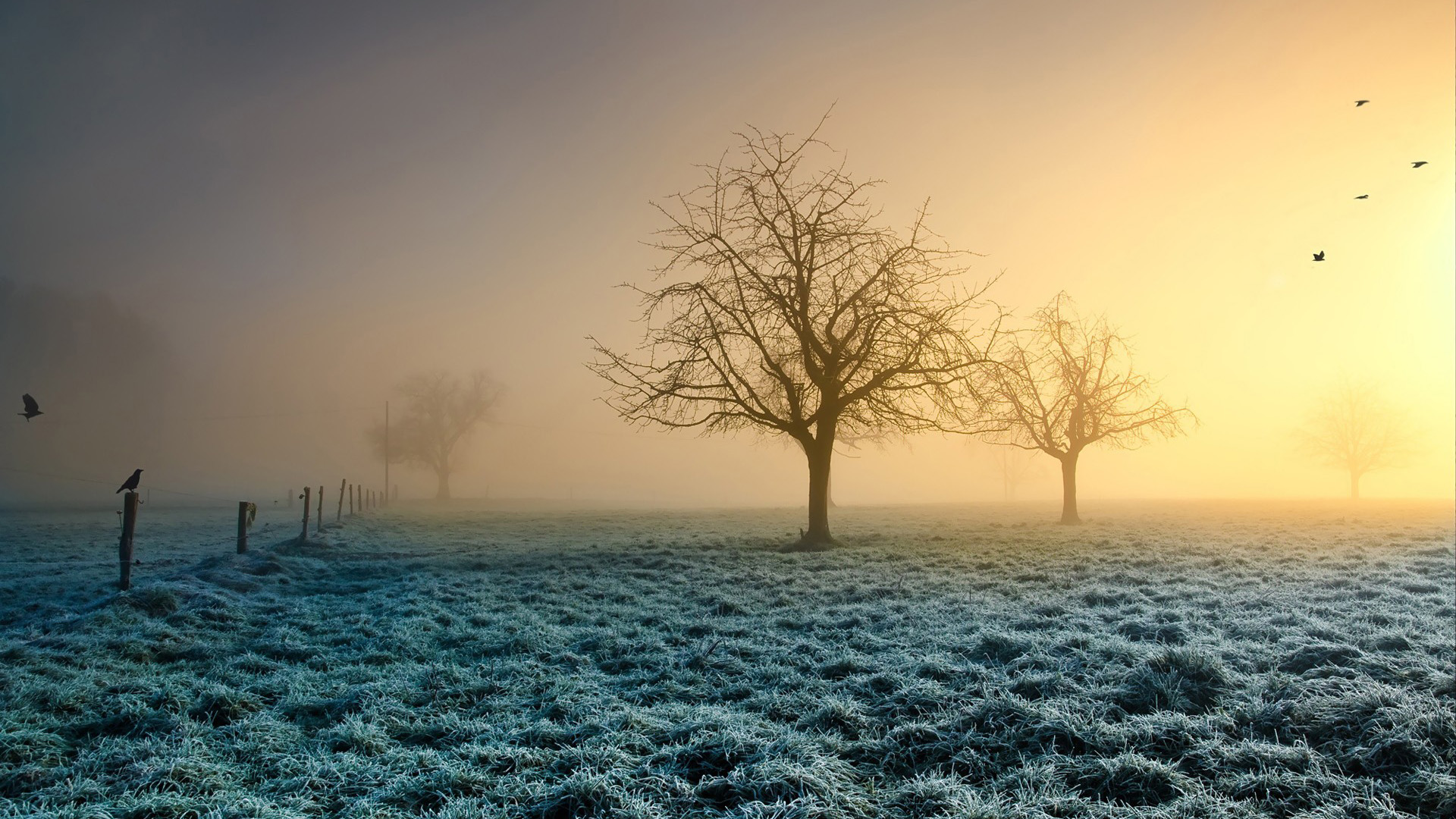 冬日清冷清晨风景壁纸