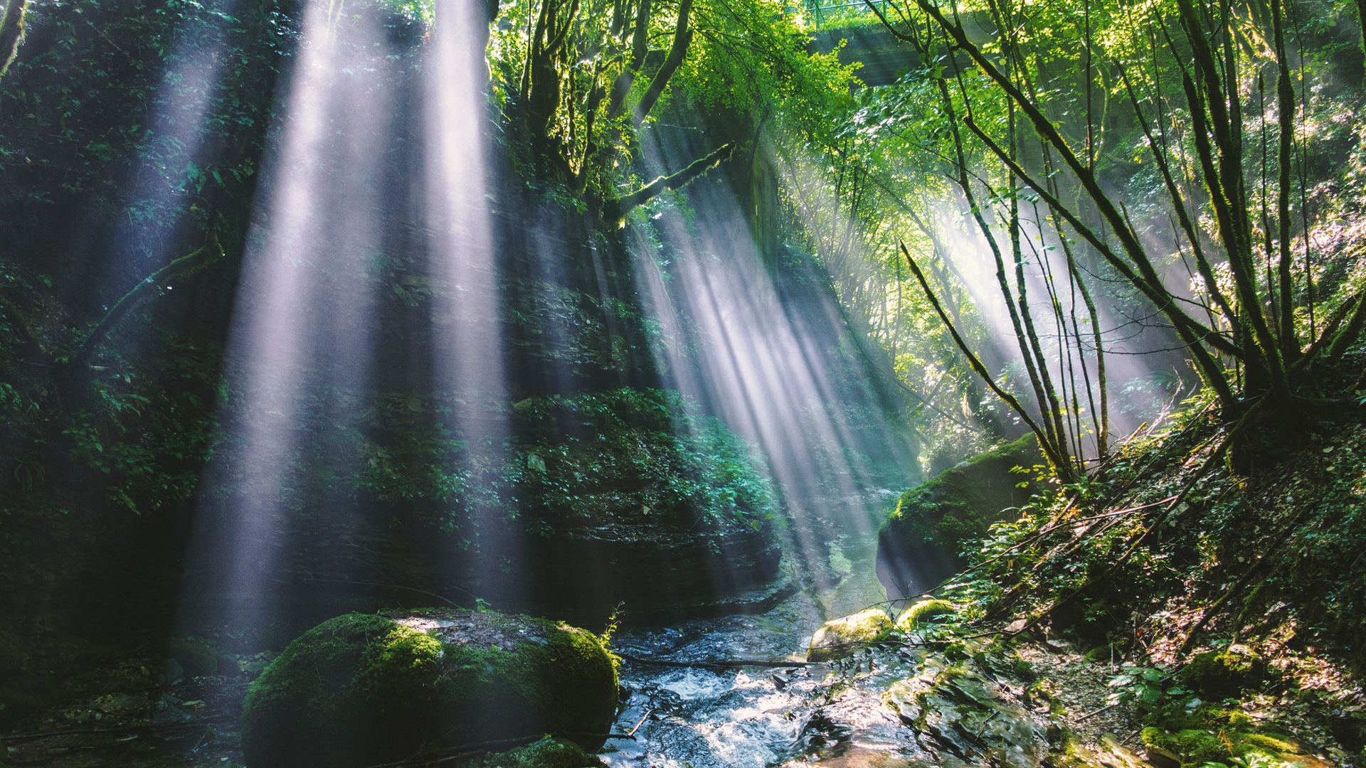这款森系山谷风景电脑壁纸太治愈了！