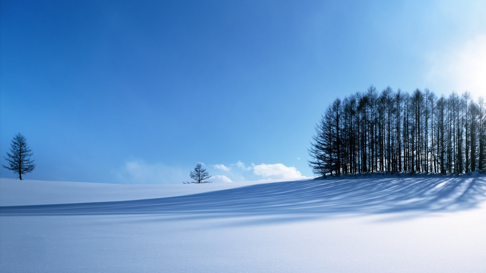 氛围感拉满！景观雪主题电脑动漫壁纸推荐