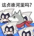 火出圈的“这河里吗”表情包到底啥梗？