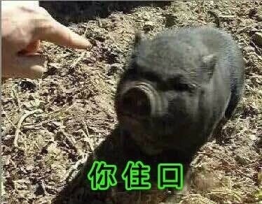 聊天时不想听了？这套“好了你不要再说了”表情包太好用了