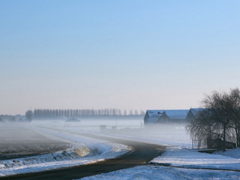 冬日雾里农场风景电脑壁纸