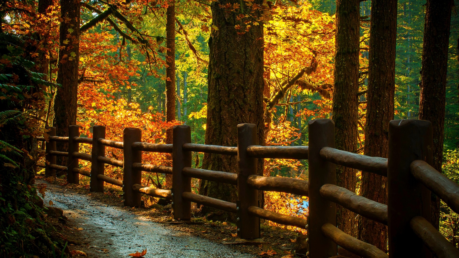 秋天山野秋日风景电脑壁纸