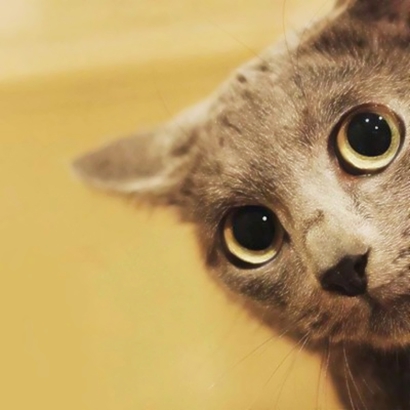 22张超萌喵星人情侣头像 高清可爱直接用