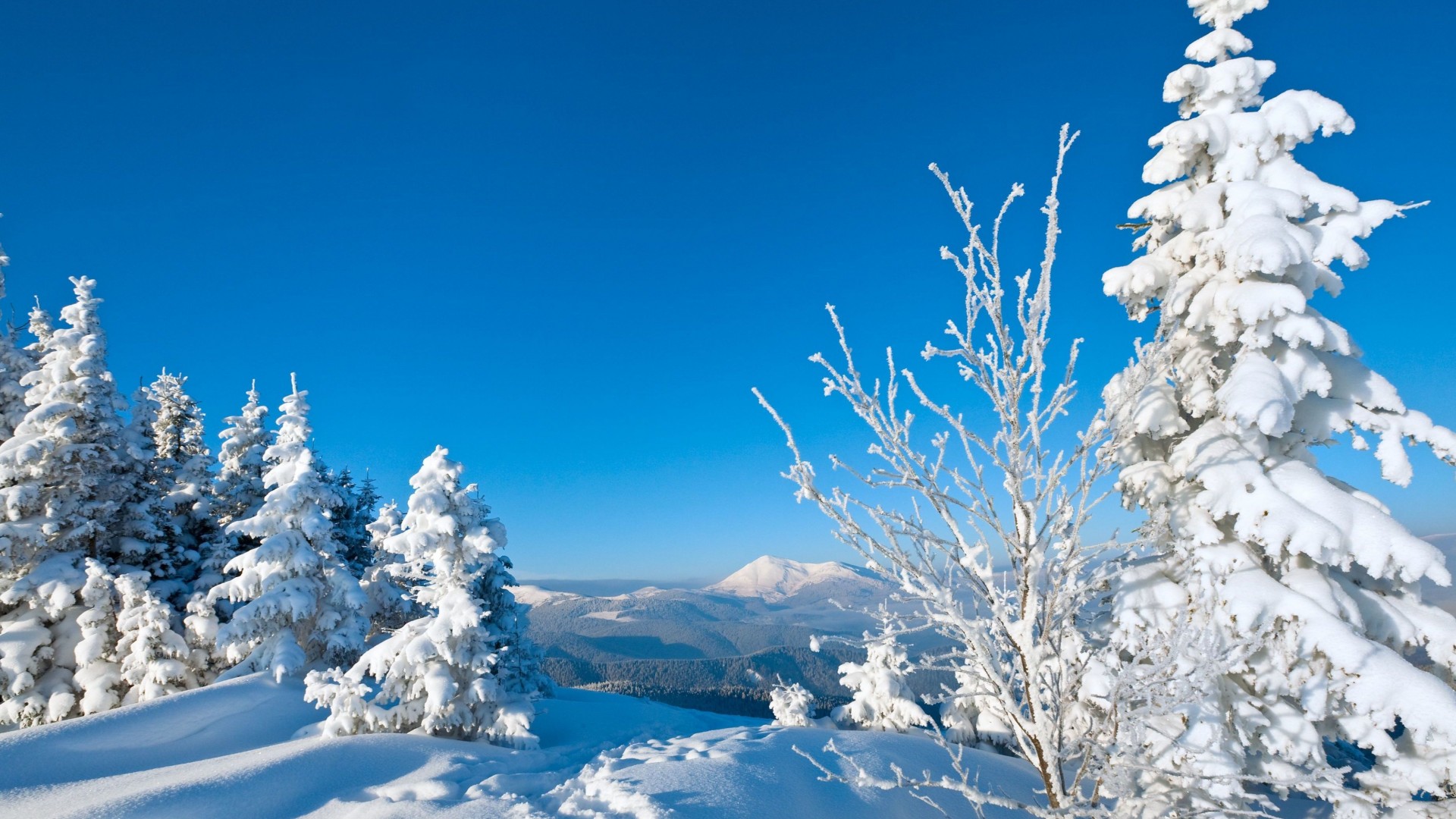 冬日大雪林木雪景 超美电脑动漫壁纸合集