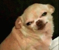 12月23日热门表情包合集来啦