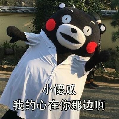 熊本熊撩妹套路表情包，直接拿去用