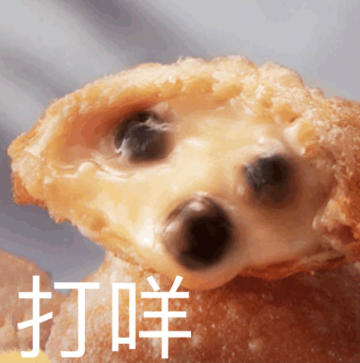 聊天斗图别愁！这套奇奇怪怪动物表情包太好用了